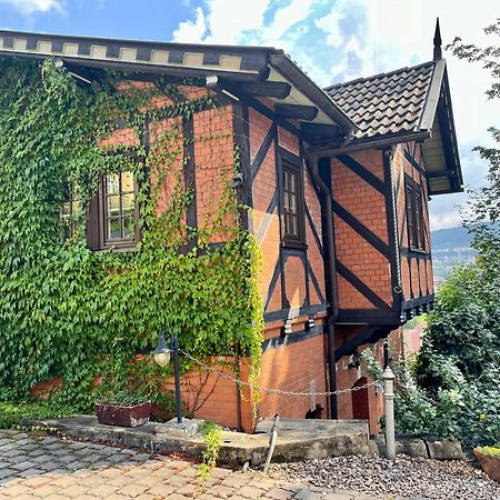 Ferienhaus Villa Frosch Μάινινγκεν Εξωτερικό φωτογραφία
